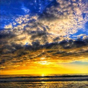 Meet your Posher, Jake